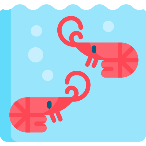 Shrimps Special Flat icon