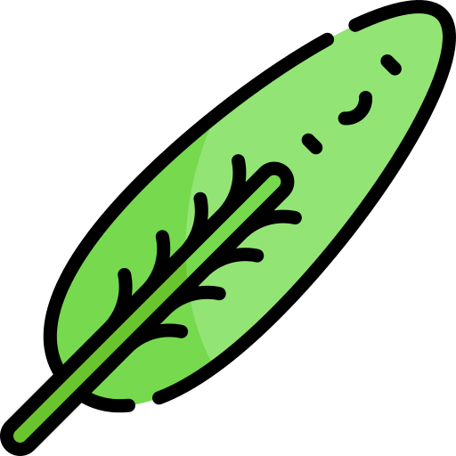 熱帯の葉 Kawaii Lineal color icon