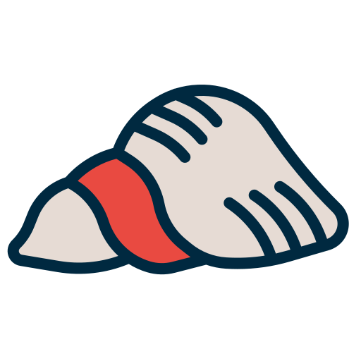 Shell Generic Outline Color icon