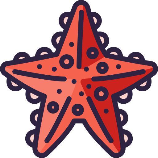 морская звезда Generic Outline Color иконка