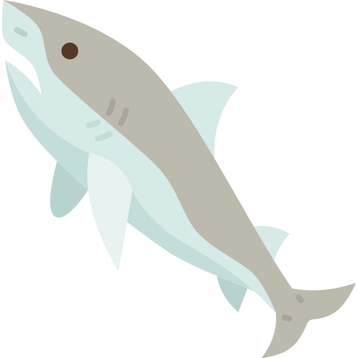 tubarão Amethys Design Flat Ícone
