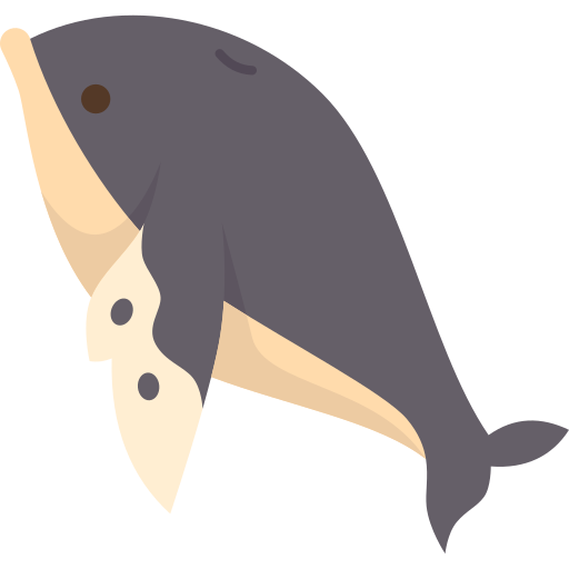 Whale Amethys Design Flat icon