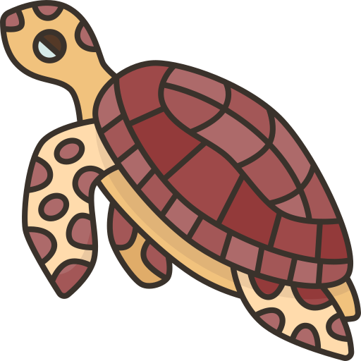 tortuga Amethys Design Lineal Color icono