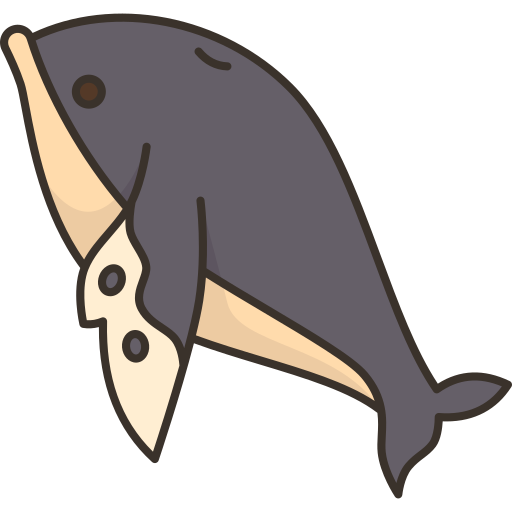 鯨 Amethys Design Lineal Color icon