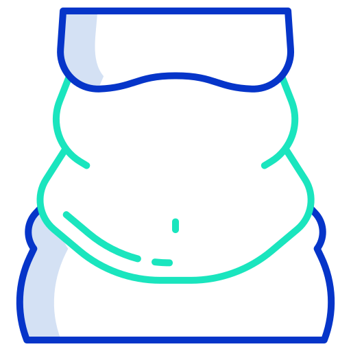 Belly Icongeek26 Outline Colour icon