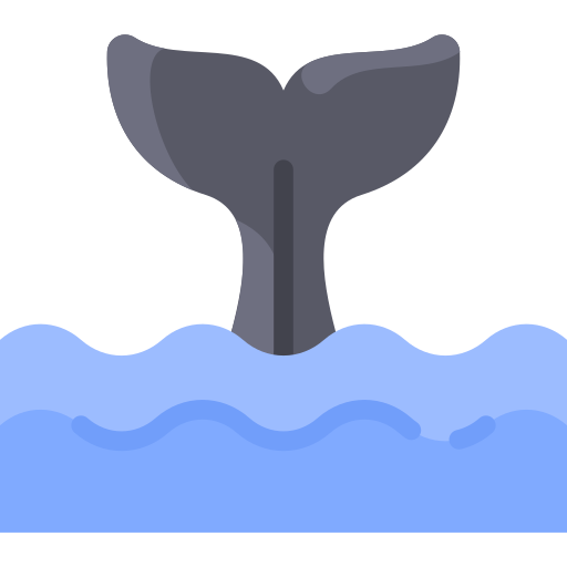 Whale Vitaliy Gorbachev Flat icon