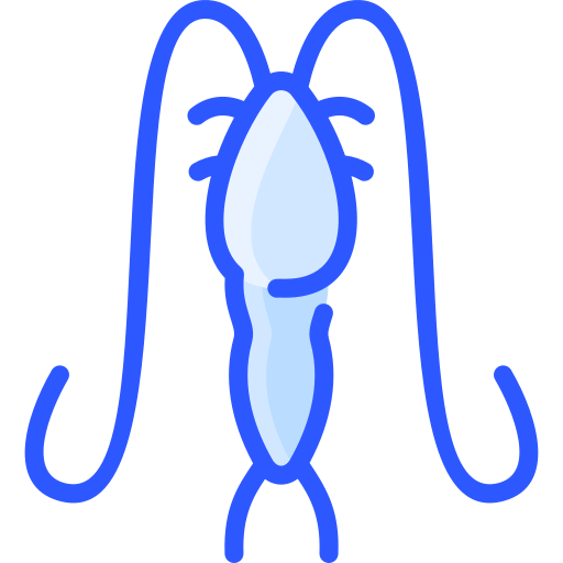 plankton Vitaliy Gorbachev Blue icoon