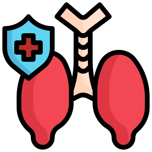 pulmones Generic Outline Color icono