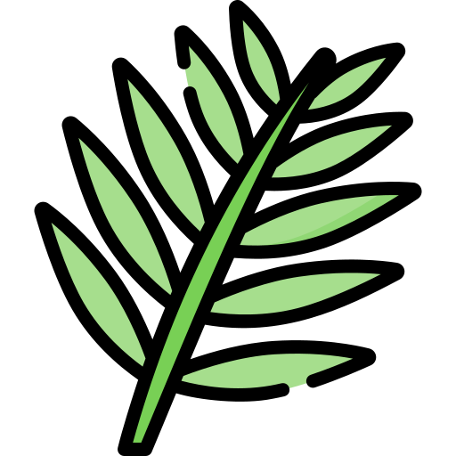 나뭇잎 Special Lineal color icon