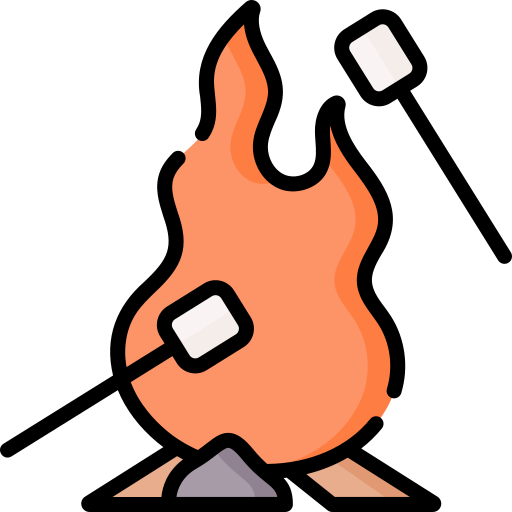 Bonfire Special Lineal color icon