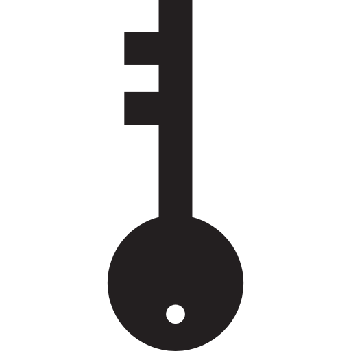 Large key  icon
