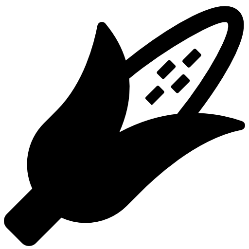 トウモロコシの穂  icon