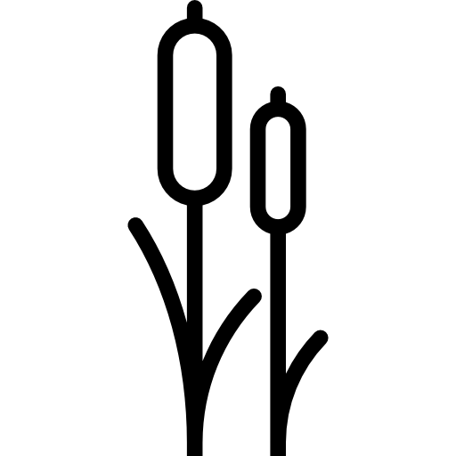 Два тростника Special Lineal иконка