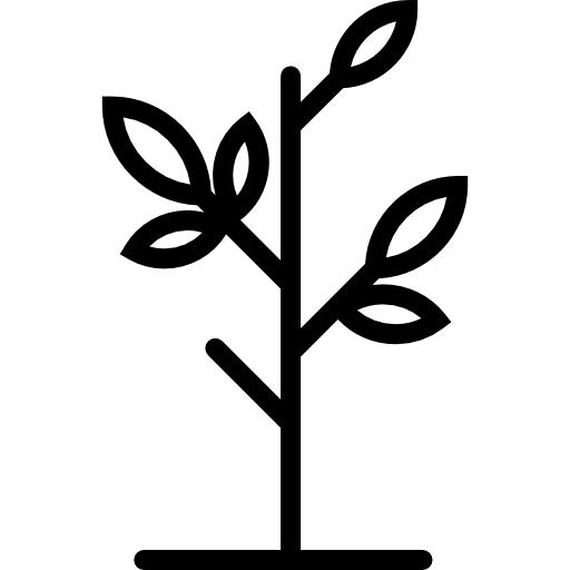 葉のある苗木 Special Lineal icon