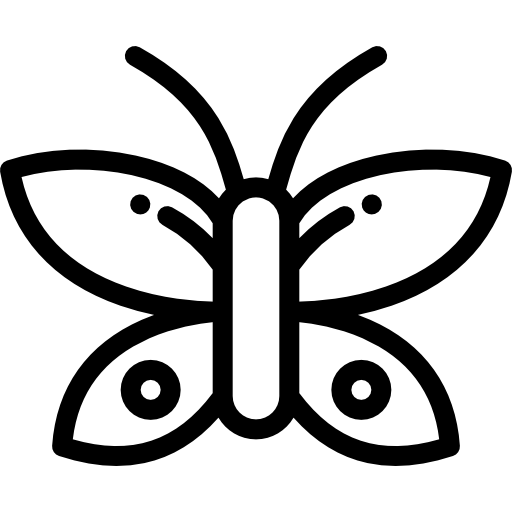 나비 Detailed Rounded Lineal icon