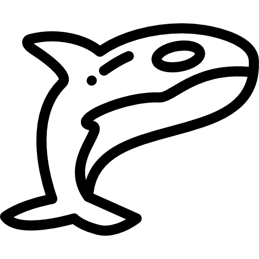 balena Detailed Rounded Lineal icona