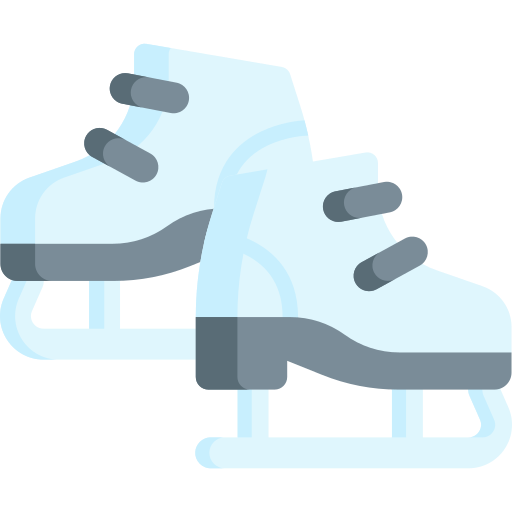 Ice skate Special Flat icon