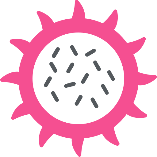 drachenfrucht Generic Flat icon