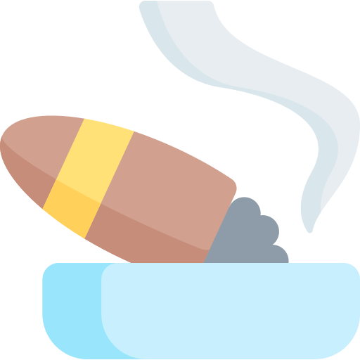 Cigar Special Flat icon