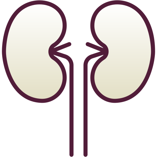 riñón Generic Lineal Color Gradient icono