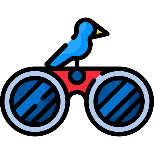 observación de aves Special Lineal color icono