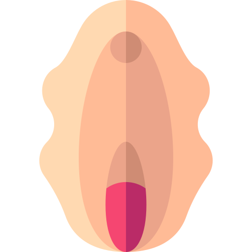 vagina Basic Straight Flat icoon