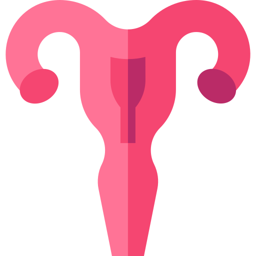Uterus Basic Straight Flat icon
