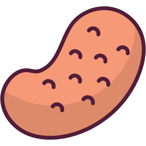 Potato Generic Outline Color icon