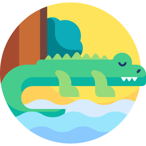 krokodil Detailed Flat Circular Flat icoon
