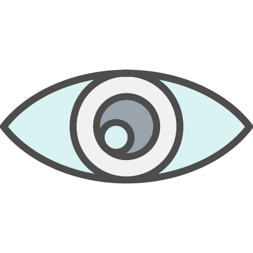ojo Generic Outline Color icono