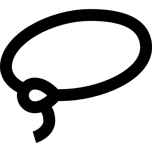 Lasso Super Basic Straight Outline icon