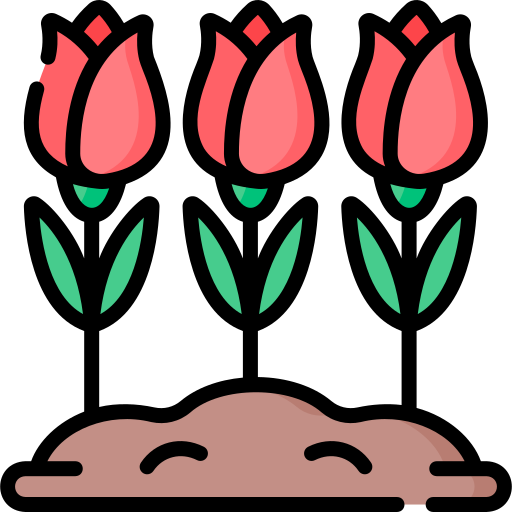 Розы Special Lineal color иконка
