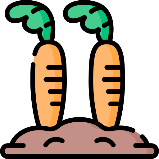 möhren Special Lineal color icon