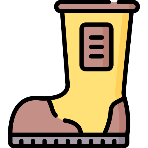 stiefel Special Lineal color icon