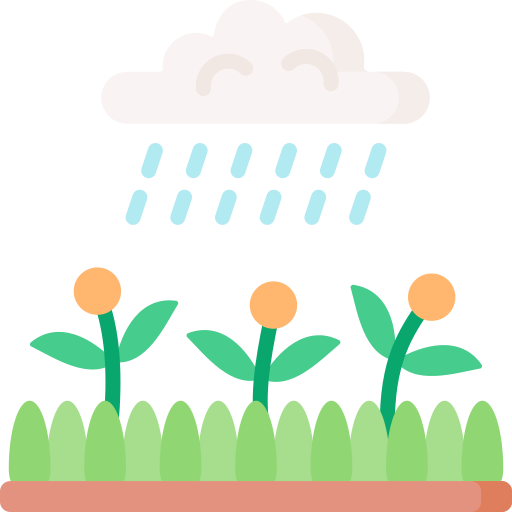 雨 Special Flat icon