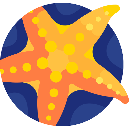 Étoile de mer Detailed Flat Circular Flat Icône