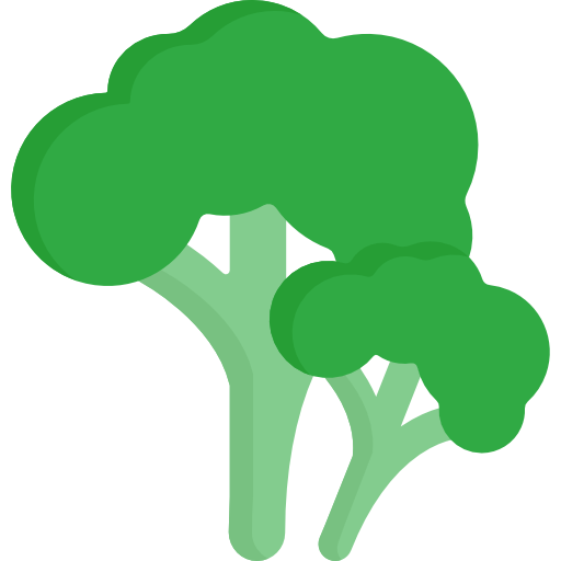brócoli Special Flat icono