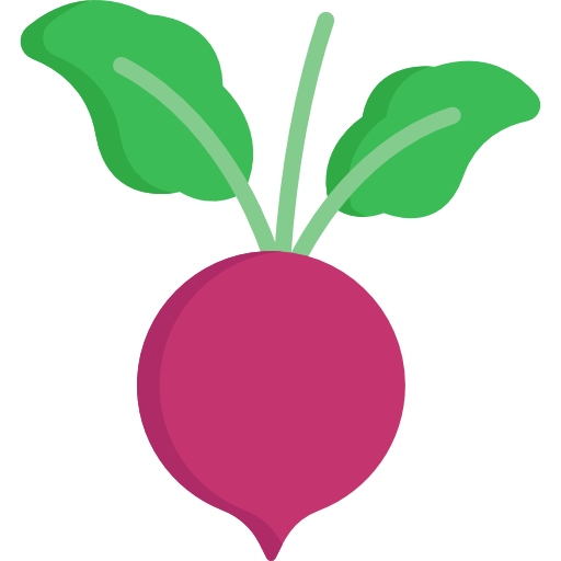 Beet Special Flat icon