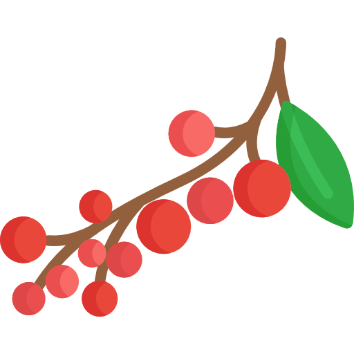 frutti di bosco Special Flat icona
