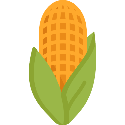 Corn Special Flat icon