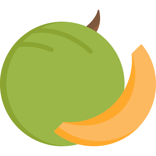 Melon Special Flat icon