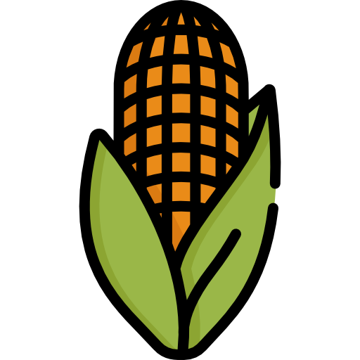 Corn Special Lineal color icon