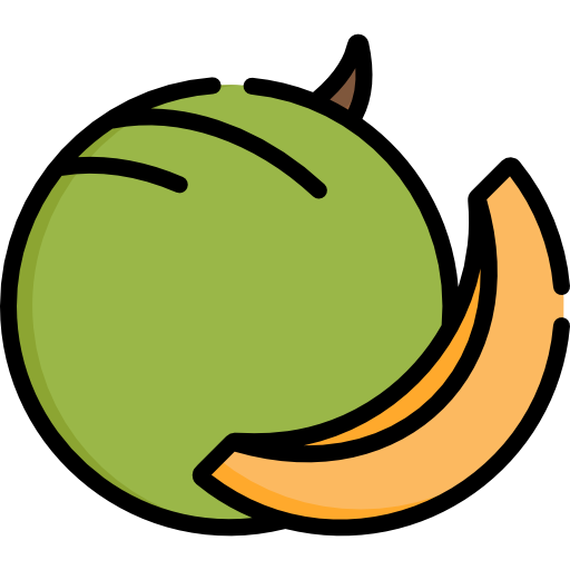 Melon Special Lineal color icon
