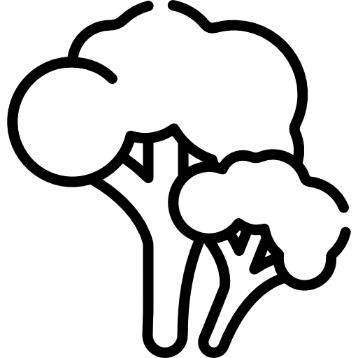 ブロッコリー Special Lineal icon