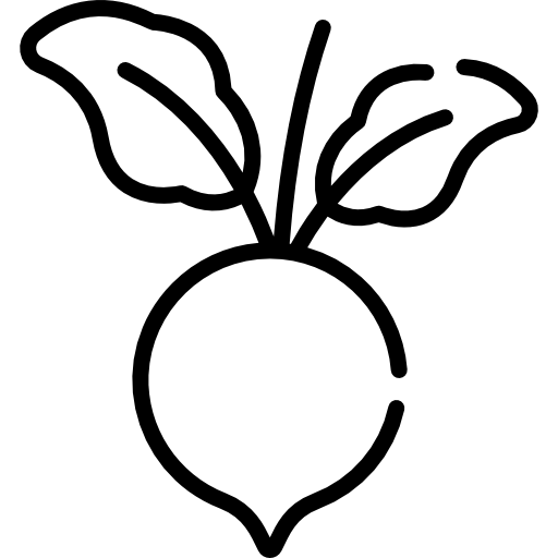 barbabietola Special Lineal icona