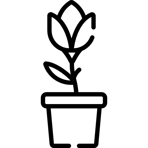 チューリップ Special Lineal icon