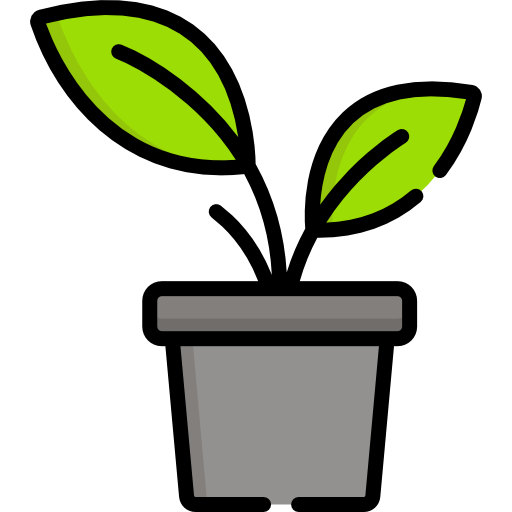 Plant Special Lineal color icon