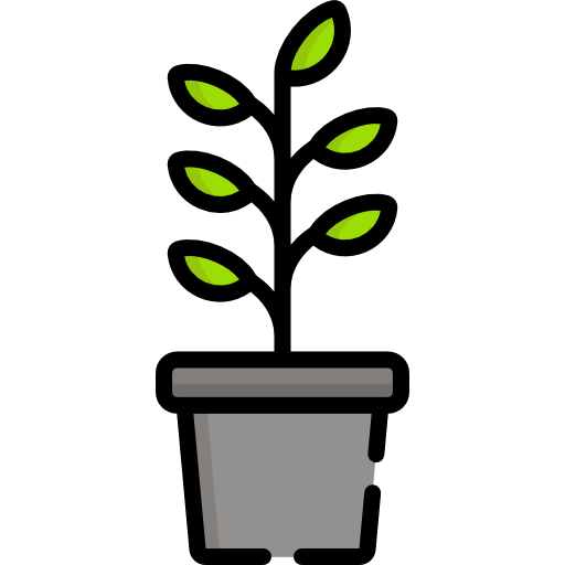 Plant Special Lineal color icon