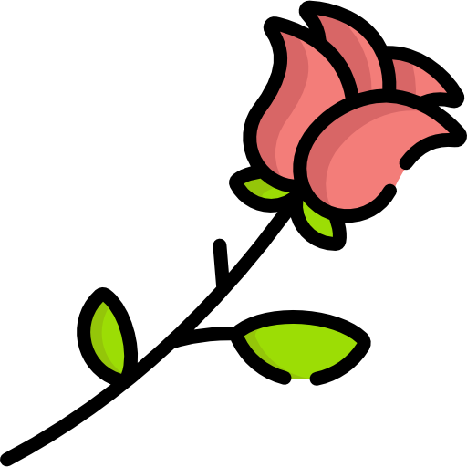 rose Special Lineal color icon