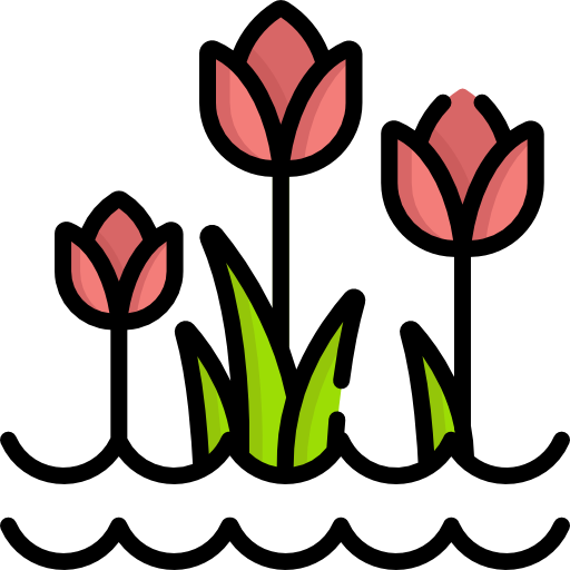 tulipas Special Lineal color Ícone